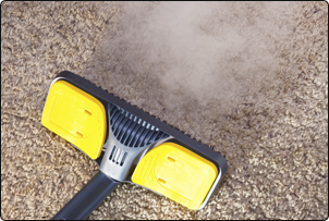 carpet and upholstery steam cleaning