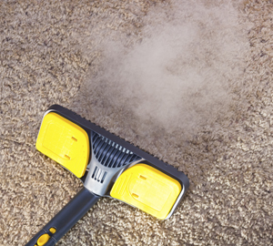 carpet steam cleaning in Ellicott City & Catonsville